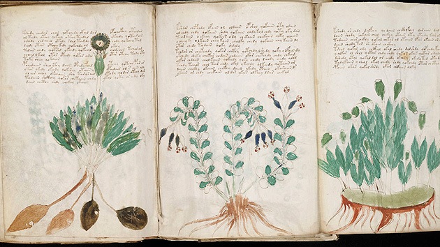 1descifran voynich