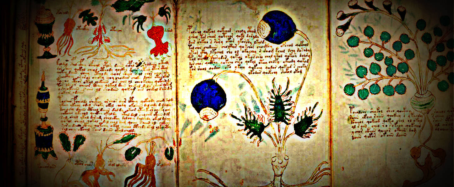 2descifran voynich 1