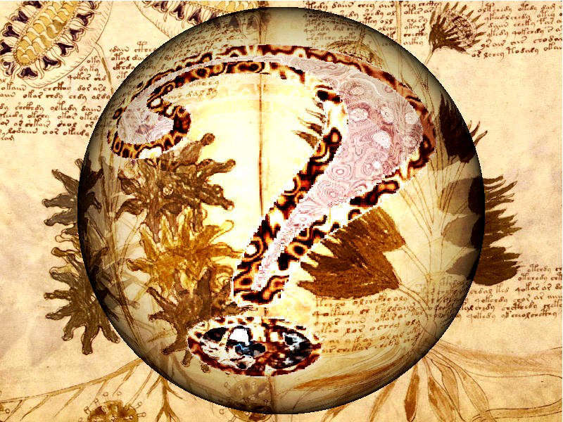 3descifran voynich 2